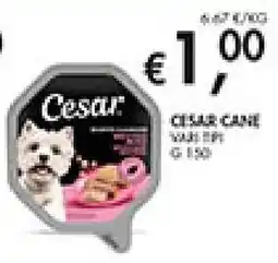Maxi Coal Cesar Cane Vari Tipi offerta