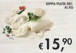 Maxi Coal Seppia pulita dec. offerta