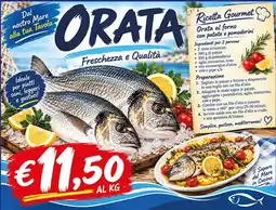 Maxi Coal Orata offerta
