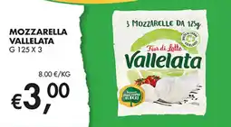 Maxi Coal Mozzarella Vallelata offerta