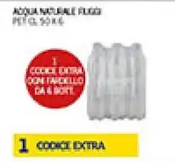 Maxi Coal Acqua naturale Fuggi offerta