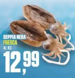 Coop Master Alleanza 3.0 Seppia nera fresca offerta