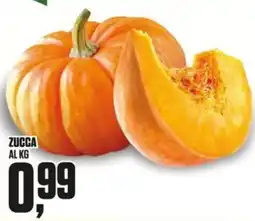 Coop Master Alleanza 3.0 Zucca offerta
