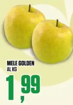 Coop Master Alleanza 3.0 Mele Golden offerta