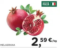 Poli Melagrana offerta