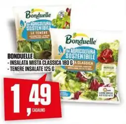 Coop Master Alleanza 3.0 Bonduelle insalata mista classica offerta