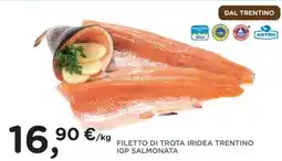 Poli Filetto di trota iridea trentino igp salmonata offerta