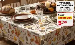 Iperal Tovaglia antimacchia Ontario offerta