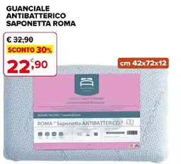 Iperal Guanciale Antibatterico Saponetta Roma offerta