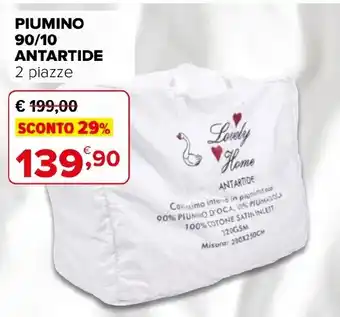 Piumino Antartide