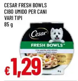 Galassia superstore Cesar Fresh Bowls offerta