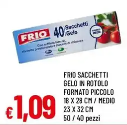 Galassia superstore Frio sacchetti gelo offerta