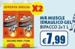 Europlanet Casa Mr Muscle idraulico gel offerta