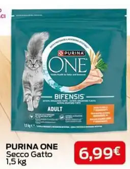 Europlanet Casa Purina One Secco Gatto offerta