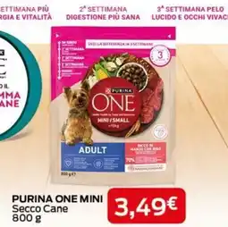 Europlanet Casa Purina One Mini Secco Cane offerta