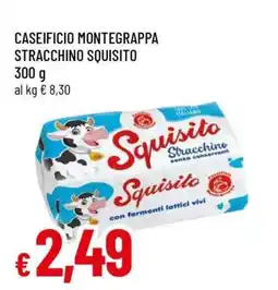 Famila CASEIFICIO MONTEGRAPPA STRACCHINO SQUISITO offerta