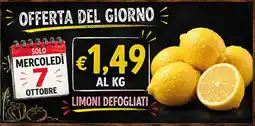 Maxi Coal Limoni defogliati offerta