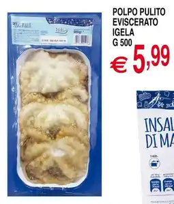 Centro Oceano Polpo pulito eviscerato Igela offerta