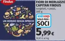 Coop Fiori di merluzzo capitán findus offerta
