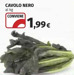 Coop Cavolo nero offerta