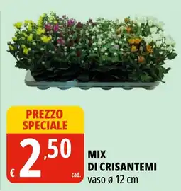 Tigros Mix di crisantemi offerta