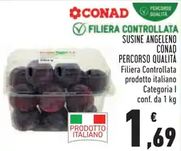 Conad Susine angeleno Conad offerta