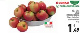 Conad Mele Gala Conad offerta