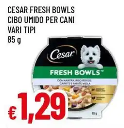 Famila Superstore Cesar Fresh Bowls offerta