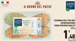 Conad City Ficodindia dell'Etna DOP Sapori&Dintorni offerta