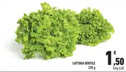 Conad City Lattuga Gentile offerta
