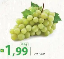 Supermercati Bruscoli Uva Italia offerta