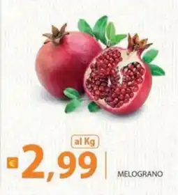 Supermercati Bruscoli Melograno offerta