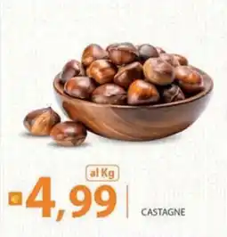 Supermercati Bruscoli Castagne offerta