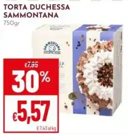 Pan Torta Duchessa Sammontana offerta