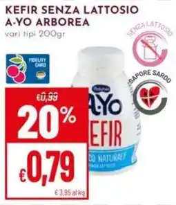 Pan Kefir senza lattosio A-Yo Arborea offerta