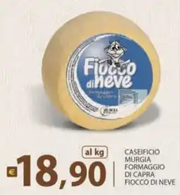 Supermercati Bruscoli Fiocco di neve offerta