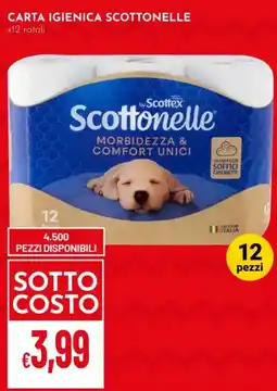 Pan Carta igienica Scottonelle offerta