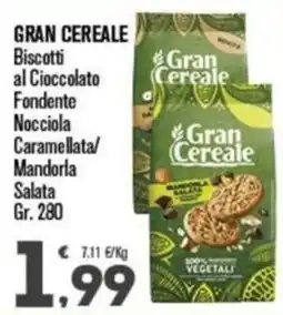 Punto é market Gran Cereale Biscotti al Cioccolato offerta