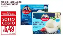 Pan Fiori di merluzzo Findus offerta
