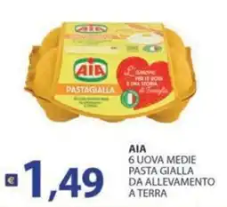 Supermercati Bruscoli AIA 6 uova medie pasta gialla da allevamento a terra offerta