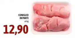 Madis Coniglio in parti offerta