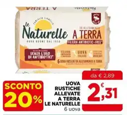 Gran mercato Uova rustiche allevate a terra le naturelle offerta