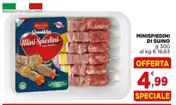 Gran mercato Mini Spiedini petto di pollo offerta