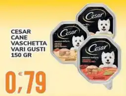 Supermercati Bruscoli Cesar cane vaschetta offerta