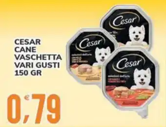 Cesar cane vaschetta