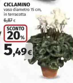 Coop Superstore Ciclamino offerta