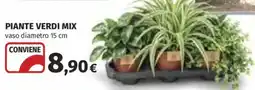 Coop Superstore Piante verdi mix offerta
