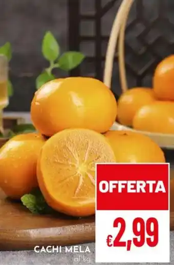 Pan Cachi mela offerta