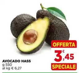 Gran mercato Avocado Hass offerta