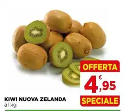 Gran mercato Kiwi Nuova Zelanda offerta